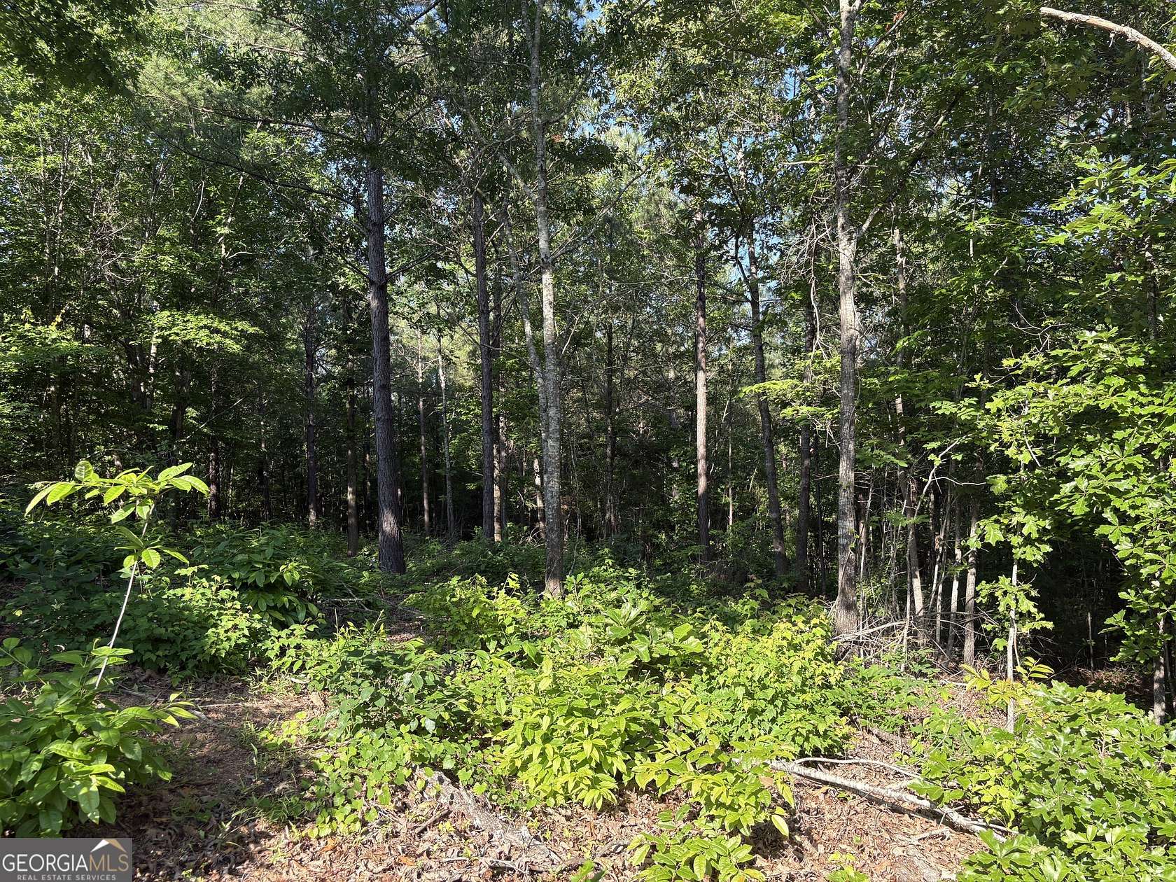3.15 Acres of Residential Land for Sale in Monticello, Georgia