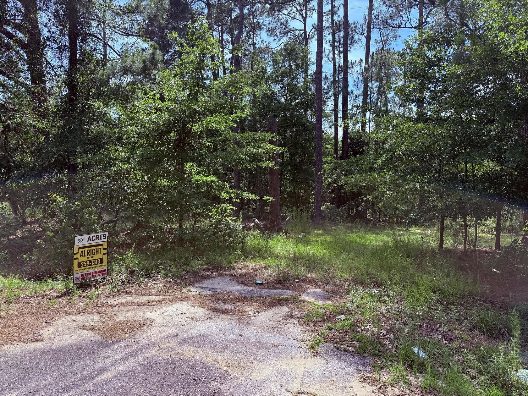 30 Acres of Recreational & Residential Land for Sale in Blackville, South Carolina