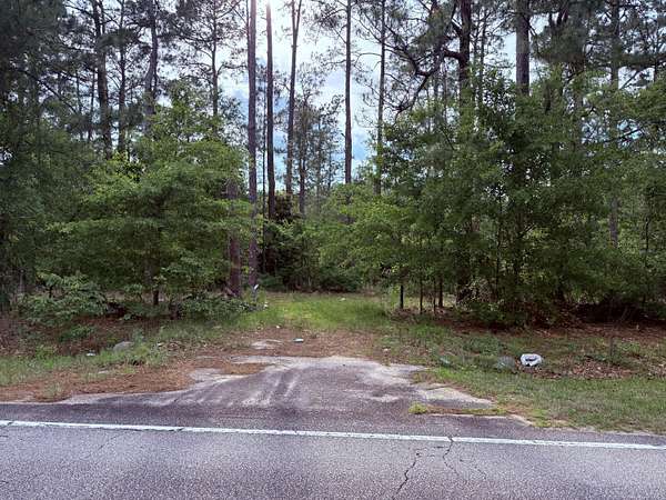 30 Acres of Recreational & Residential Land for Sale in Blackville, South Carolina