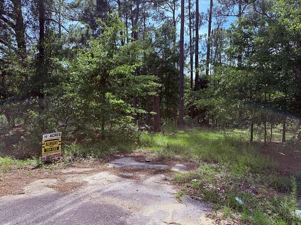 30 Acres of Recreational & Residential Land for Sale in Blackville, South Carolina