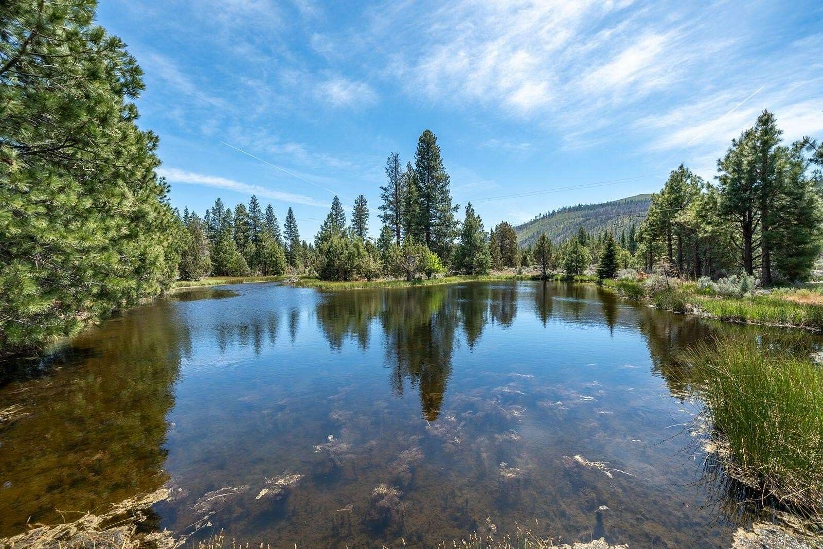 40.5 Acres of Agricultural Land with Home for Sale in Macdoel, California