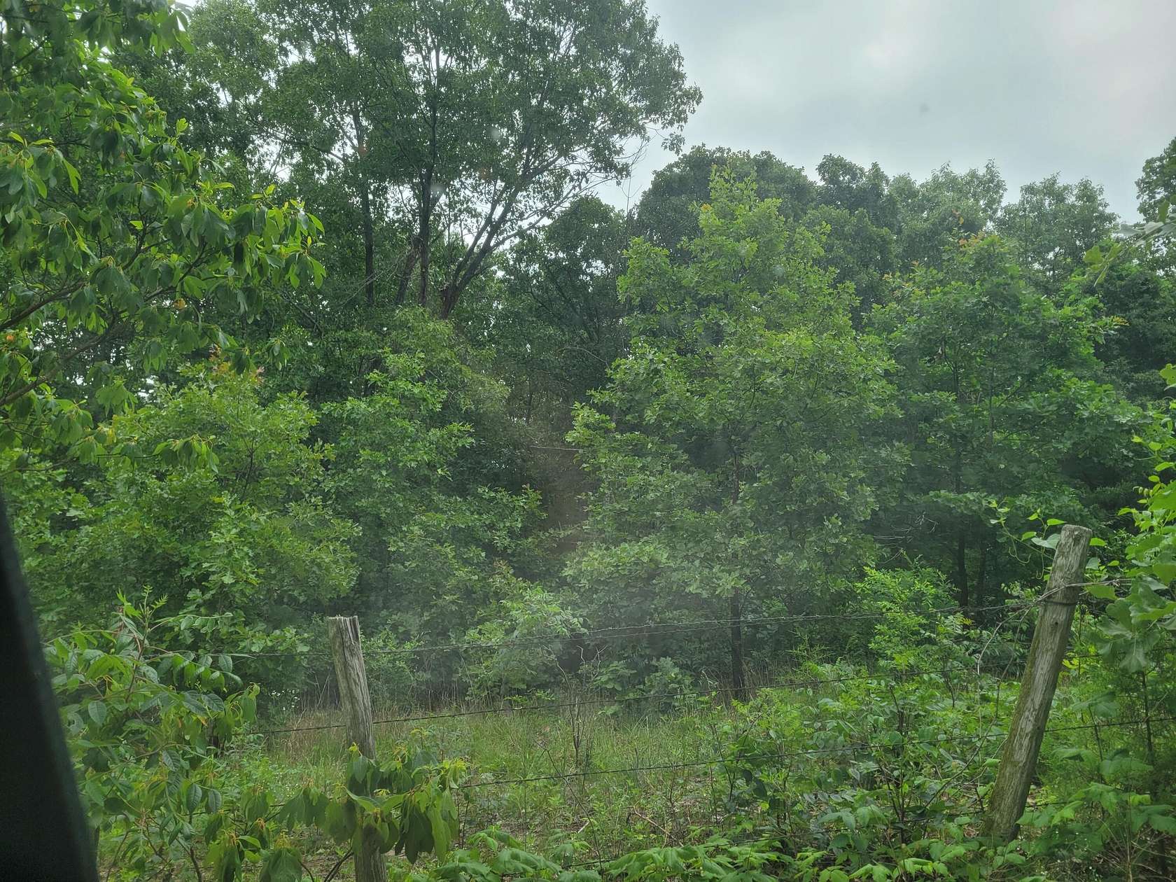 40 Acres of Recreational Land for Sale in Ava, Missouri
