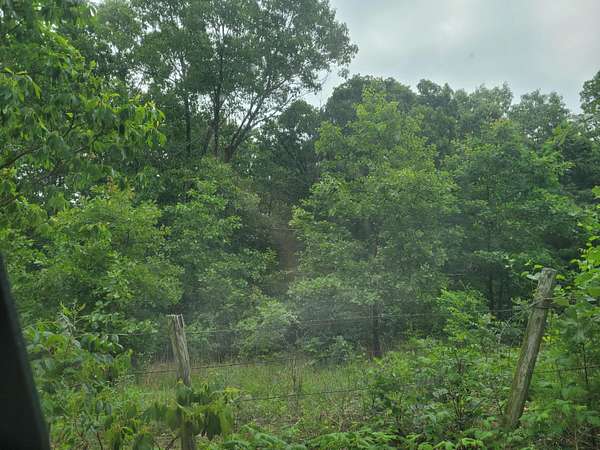 40 Acres of Recreational Land for Sale in Ava, Missouri