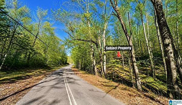 15 Acres of Land for Sale in Oxford, Alabama