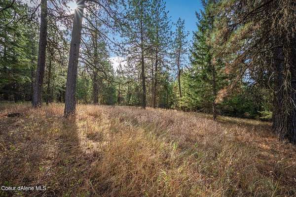 10 Acres of Recreational & Residential Land for Sale in Worley, Idaho