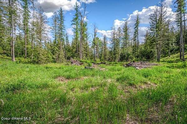 5 Acres of Residential Land for Sale in Sandpoint, Idaho