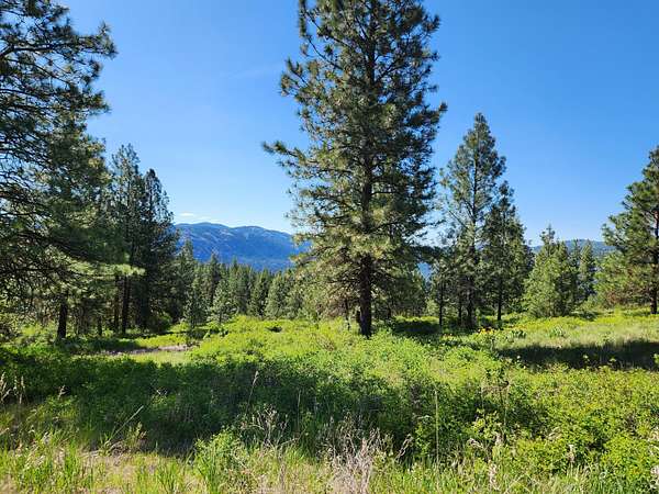 10 Acres of Recreational & Residential Land for Sale in Republic, Washington
