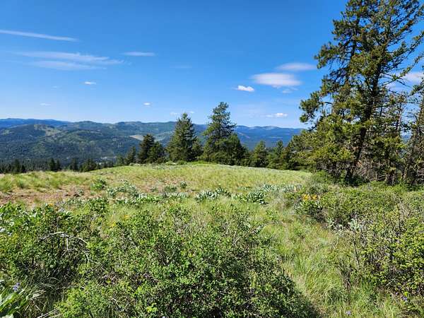 10 Acres of Recreational & Residential Land for Sale in Republic, Washington