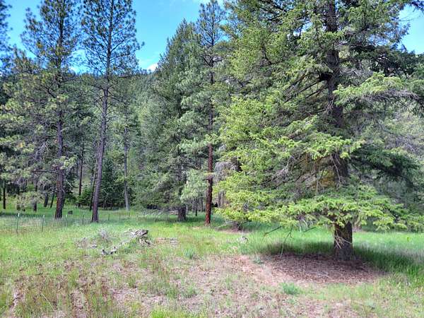 1.47 Acres of Residential Land for Sale in Curlew, Washington