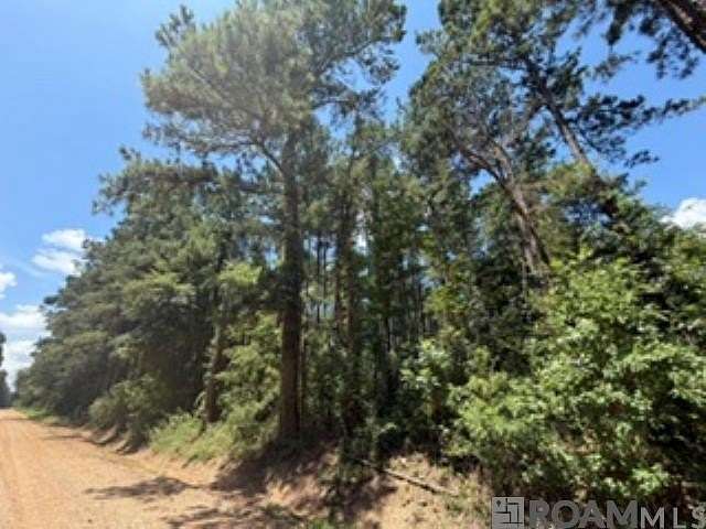 3.17 Acres of Land for Sale in Independence, Louisiana