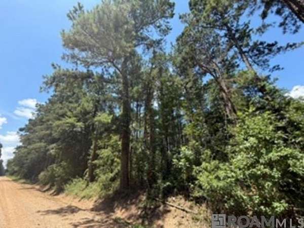 3.17 Acres of Land for Sale in Independence, Louisiana