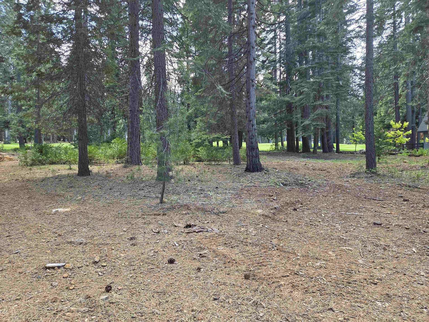 0.4 Acres of Residential Land for Sale in Chester, California