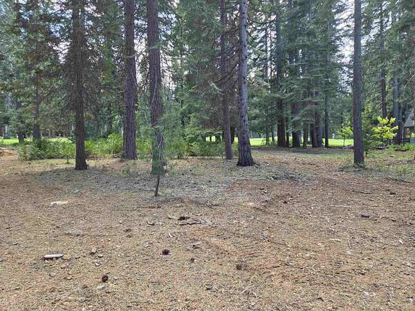 0.4 Acres of Residential Land for Sale in Chester, California