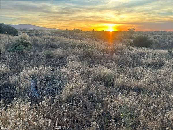 0.99 Acres of Residential Land for Sale in Phelan, California