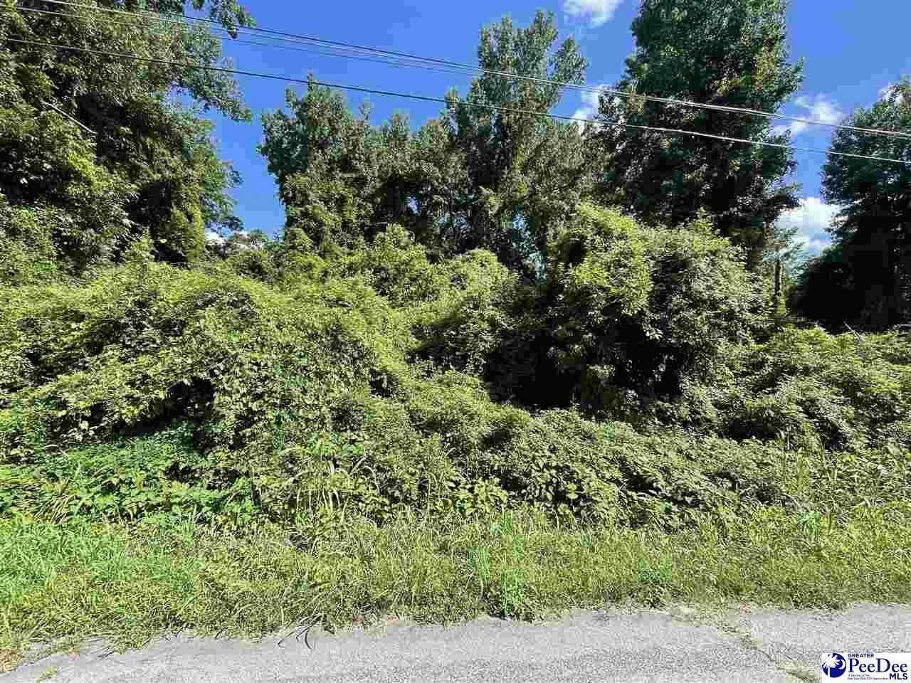 0.17 Acres of Commercial Land for Sale in Bennettsville, South Carolina
