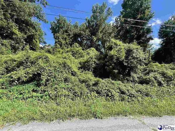 0.17 Acres of Commercial Land for Sale in Bennettsville, South Carolina