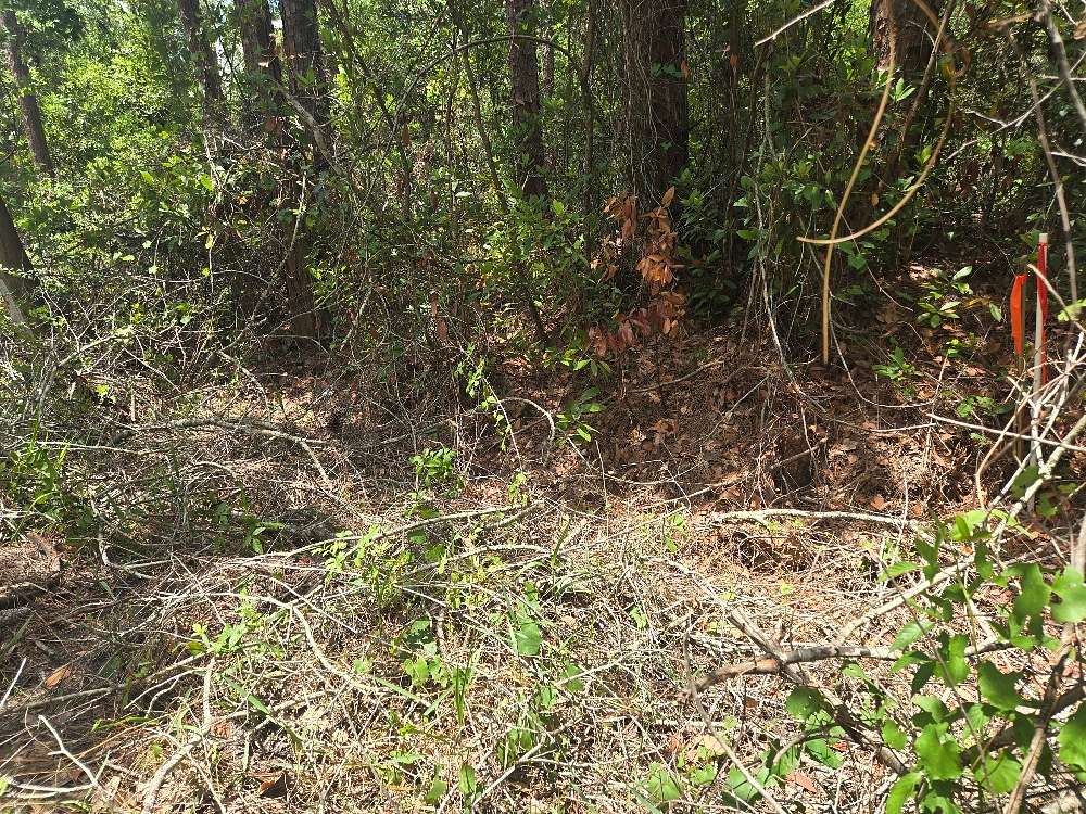 1 Acre of Residential Land for Sale in Sebring, Florida