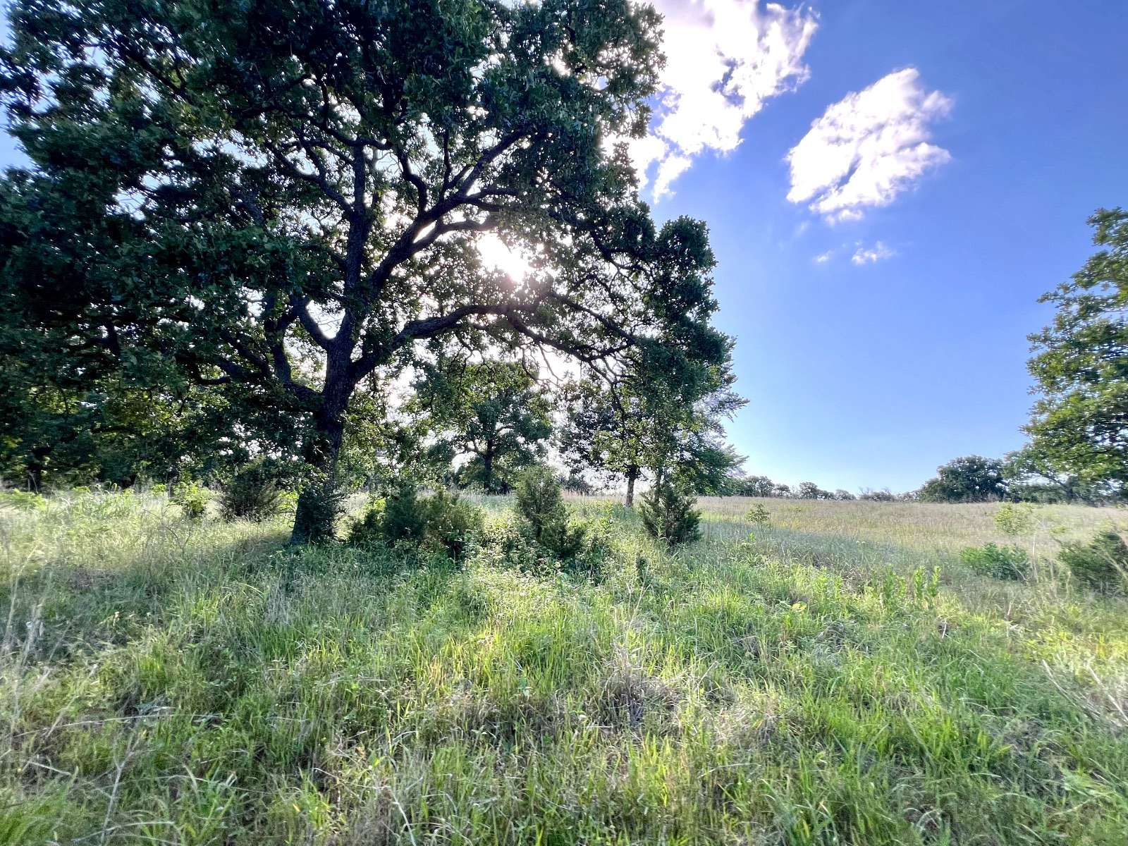 15 Acres of Recreational & Residential Land for Sale in Tishomingo, Oklahoma