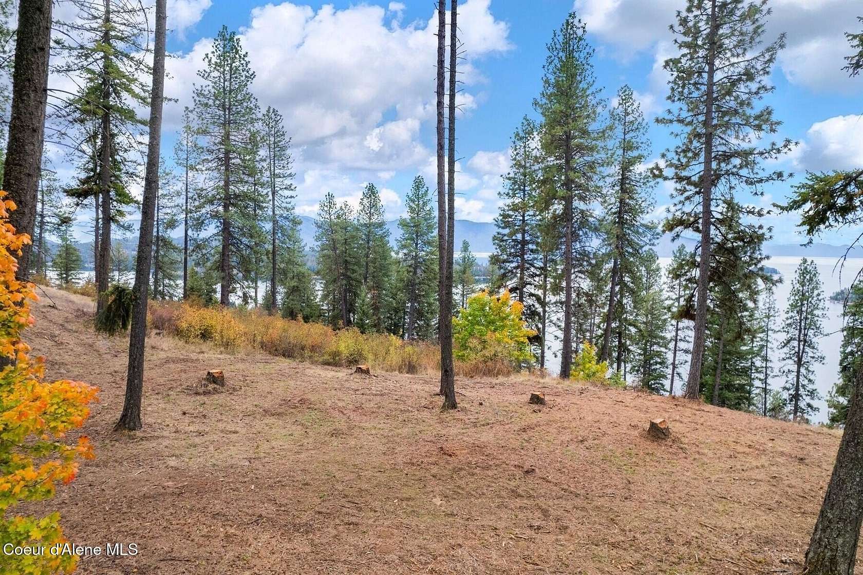 19.4 Acres of Recreational & Residential Land for Sale in Hope, Idaho