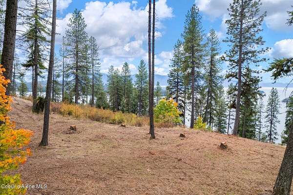 19.4 Acres of Recreational & Residential Land for Sale in Hope, Idaho
