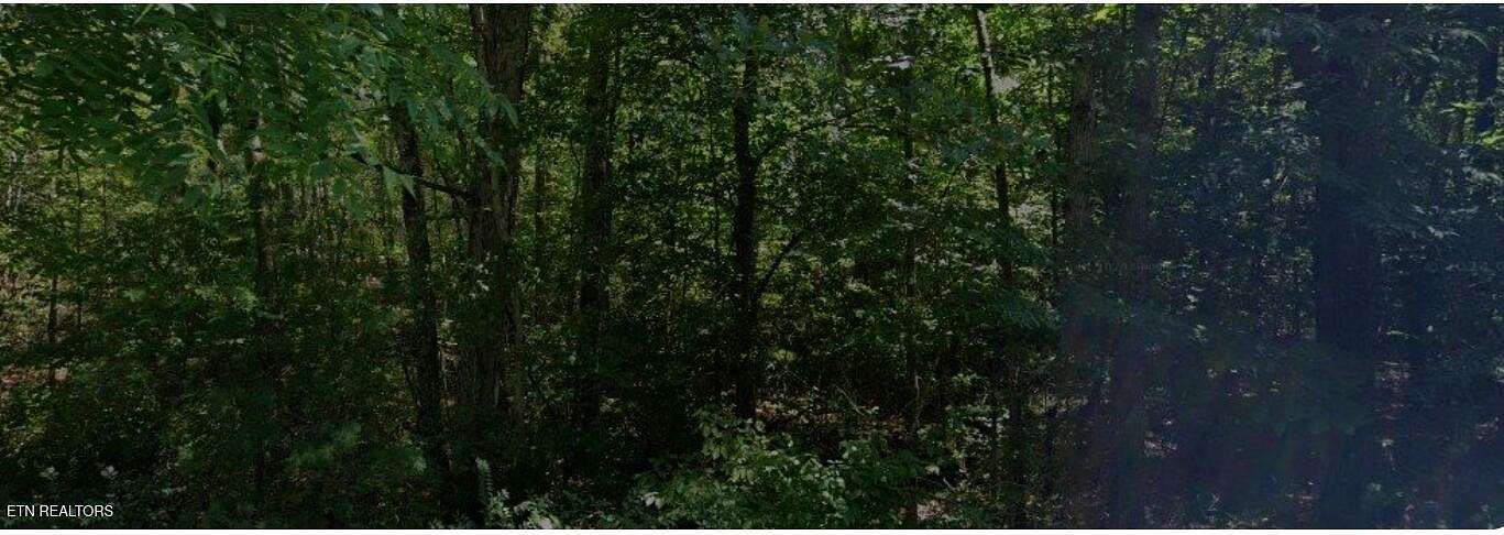 0.29 Acres of Residential Land for Sale in Crossville, Tennessee