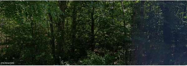 0.29 Acres of Residential Land for Sale in Crossville, Tennessee