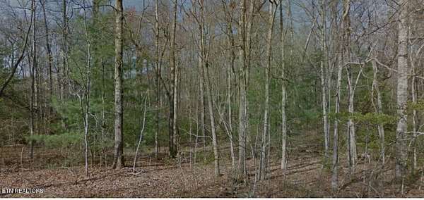 0.18 Acres of Residential Land for Sale in Crossville, Tennessee