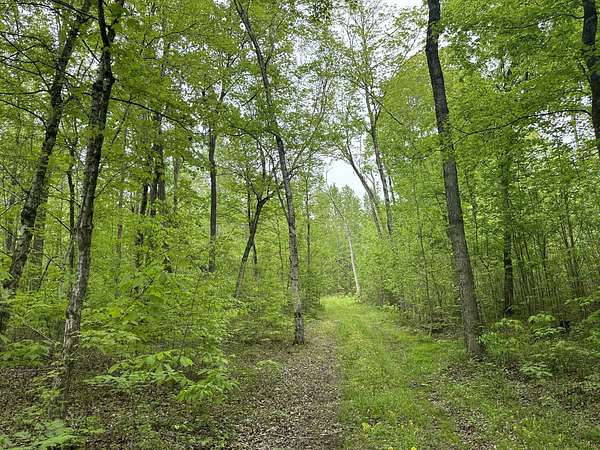 29.8 Acres of Recreational & Residential Land for Sale in Chapmansboro, Tennessee