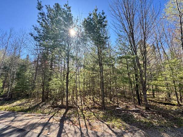 1 Acre of Residential Land for Sale in Eagle River, Wisconsin
