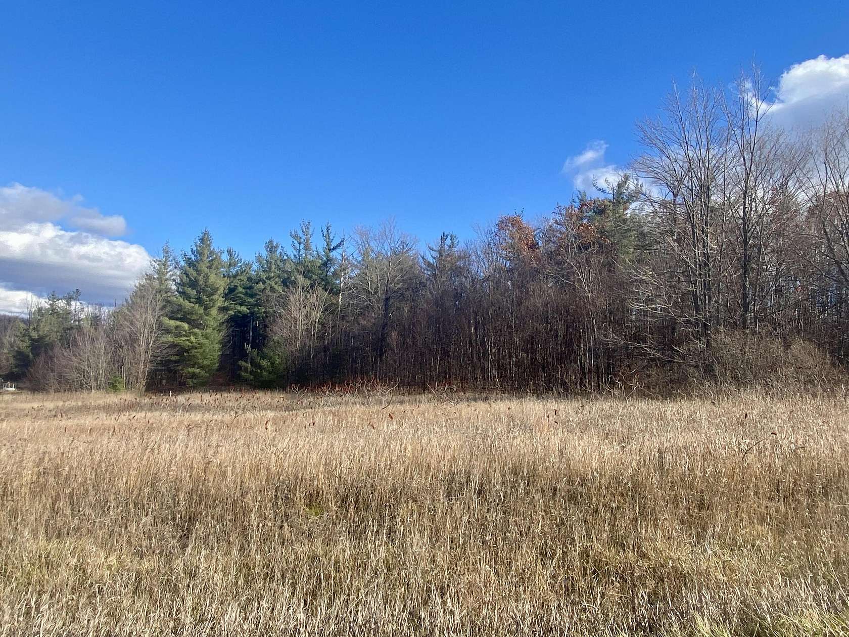 9.49 Acres of Residential Land for Sale in Gaylord, Michigan