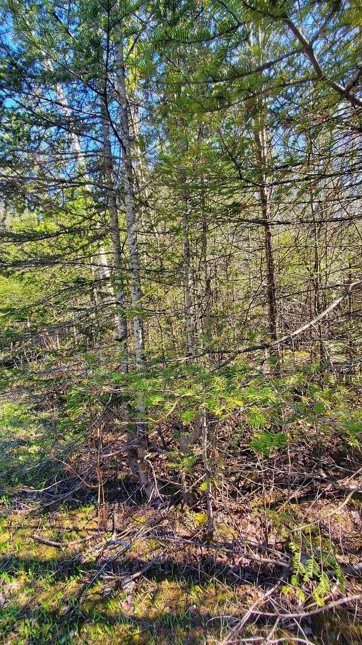 0.41 Acres of Residential Land for Sale in Presque Isle, Michigan