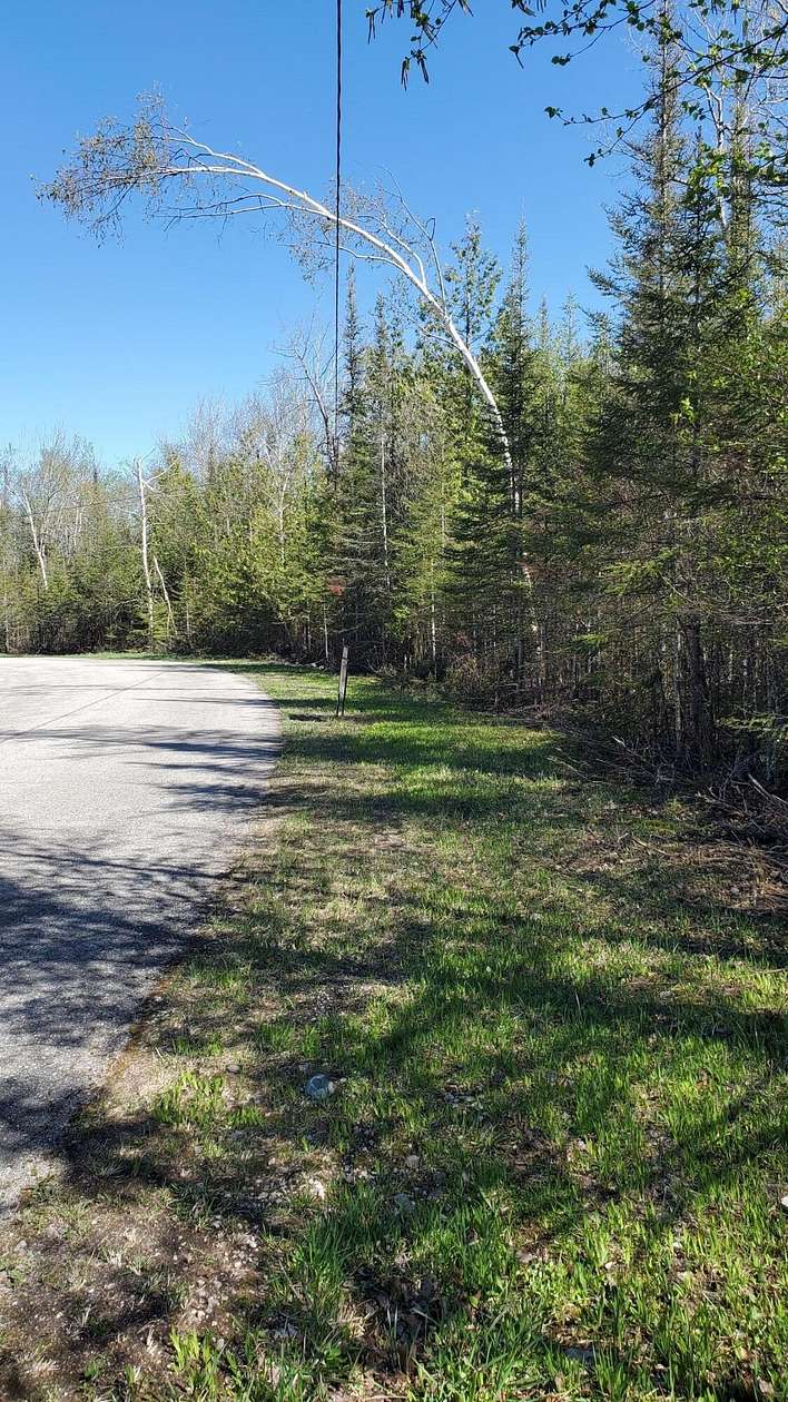 0.41 Acres of Residential Land for Sale in Presque Isle, Michigan