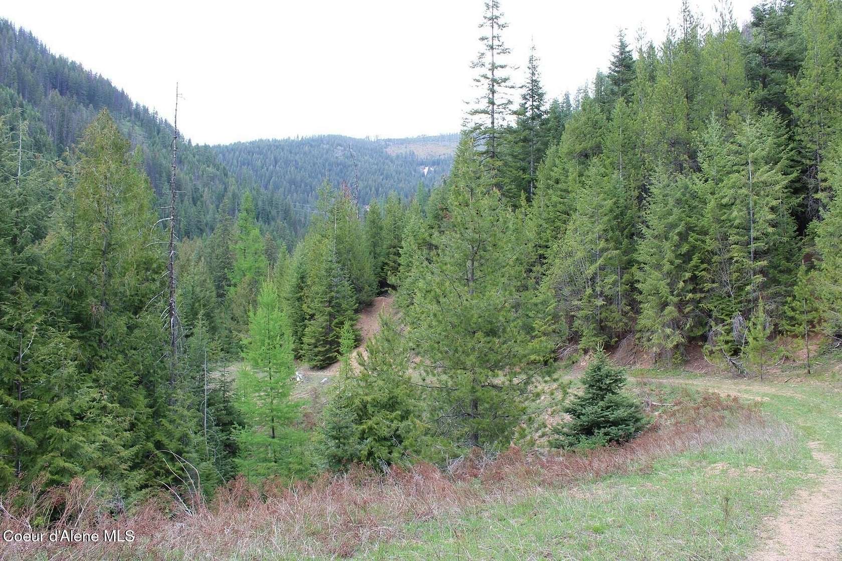 19.3 Acres of Land for Sale in Mullan, Idaho
