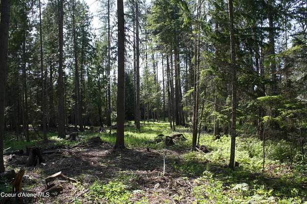 3 Acres of Land for Sale in Clark Fork, Idaho