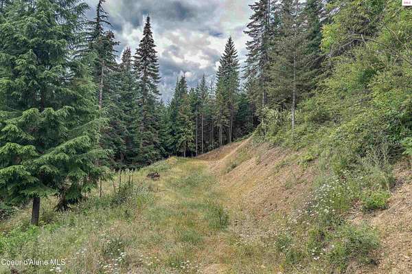 1.2 Acres of Land for Sale in Kingston, Idaho
