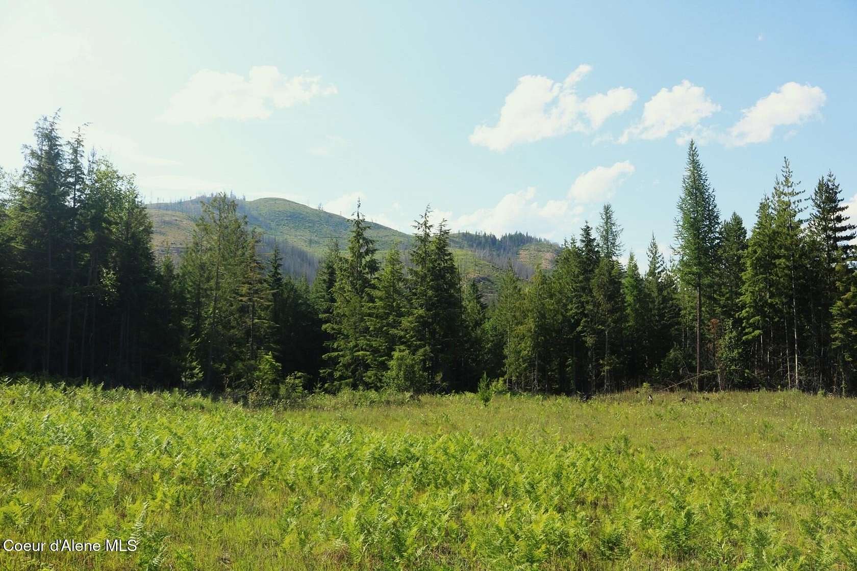 20 Acres of Recreational & Residential Land for Sale in Priest River, Idaho
