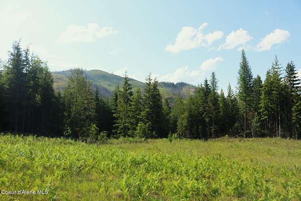 20 Acres of Recreational & Residential Land for Sale in Priest River, Idaho