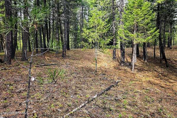 9.3 Acres of Land for Sale in Naples, Idaho