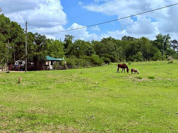 7.17 Acres of Land with Home for Sale in Douglas, Georgia