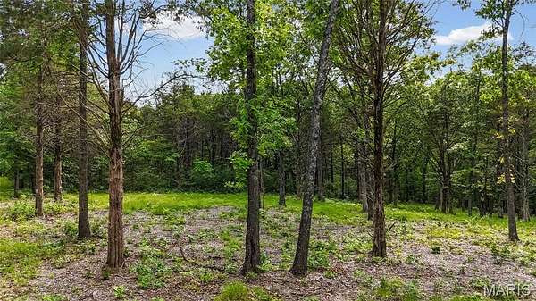 10.5 Acres of Land for Sale in Dittmer, Missouri