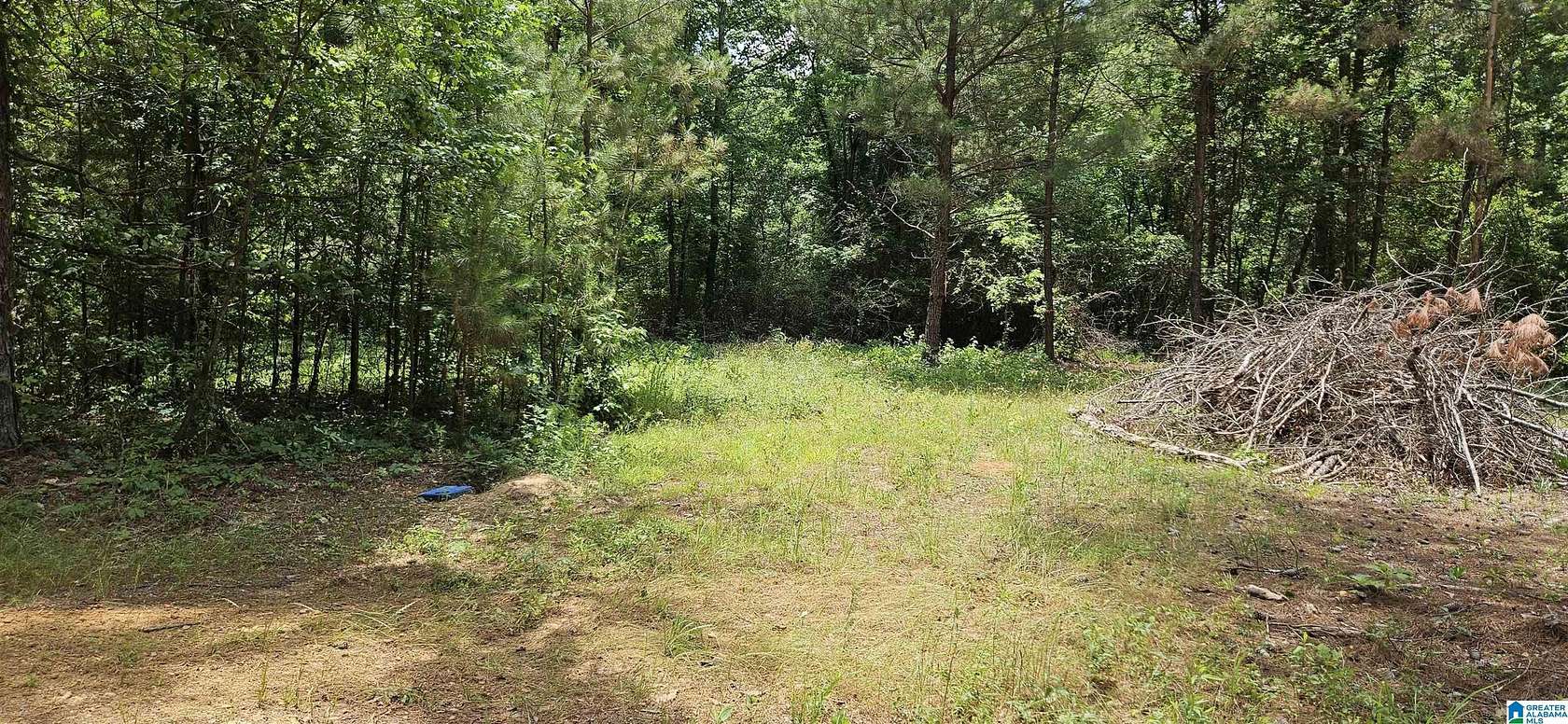 3.45 Acres of Residential Land for Sale in Maplesville, Alabama