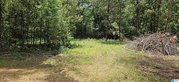 3.45 Acres of Residential Land for Sale in Maplesville, Alabama