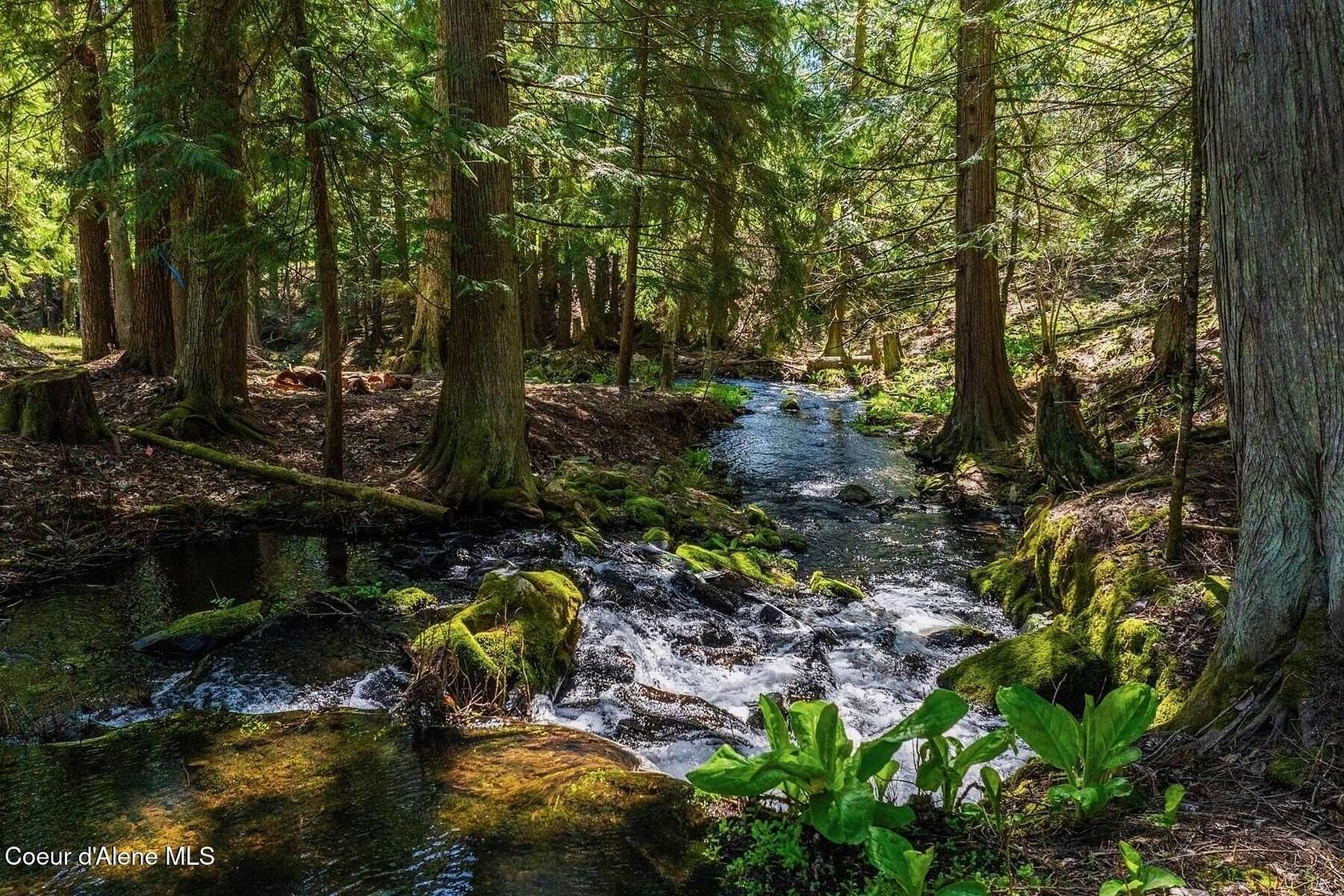 1 Acre of Land for Sale in Sagle, Idaho