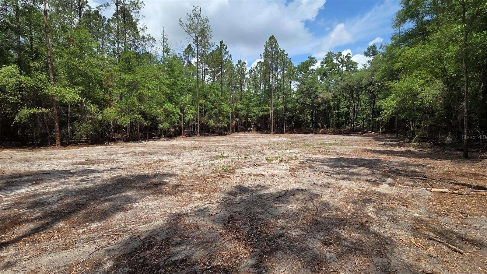 4.29 Acres of Residential Land for Sale in Newberry, Florida
