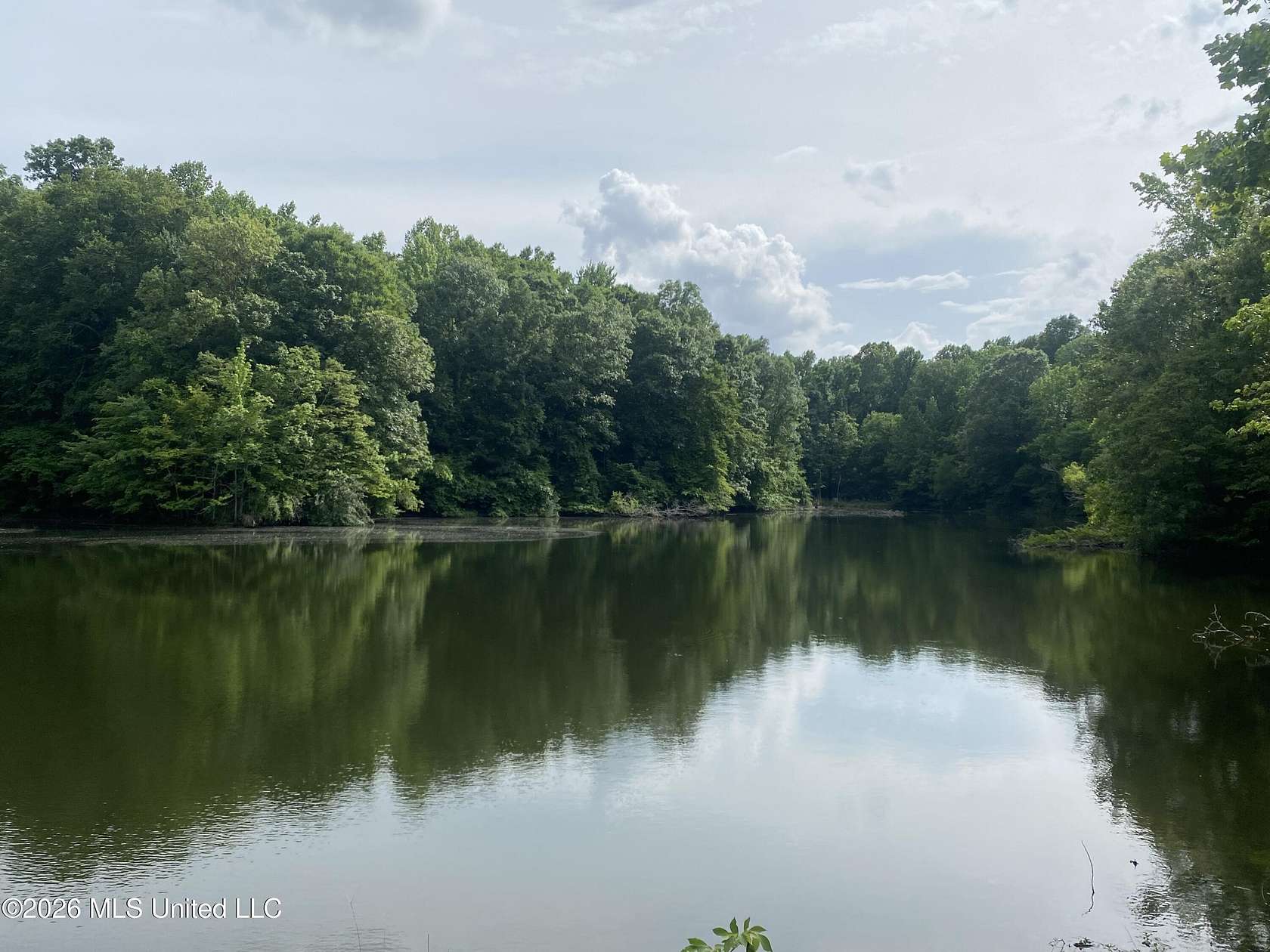 35.4 Acres of Land for Sale in Sarah, Mississippi