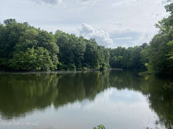 35.4 Acres of Land for Sale in Sarah, Mississippi