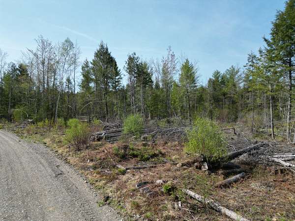 10.7 Acres of Recreational Land for Sale in Howland, Maine