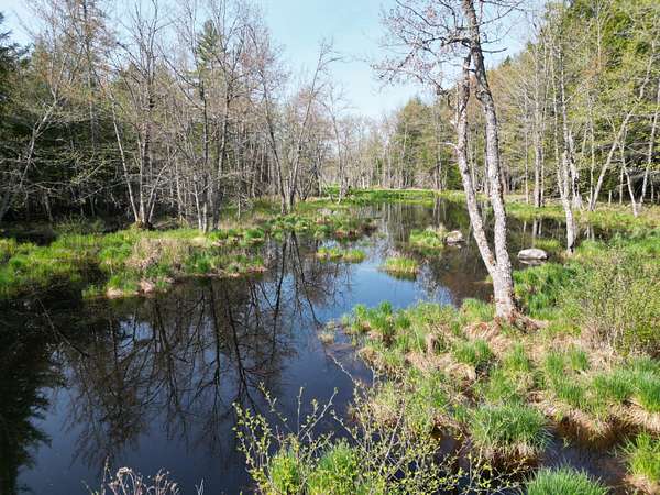 10.2 Acres of Recreational Land for Sale in Howland, Maine