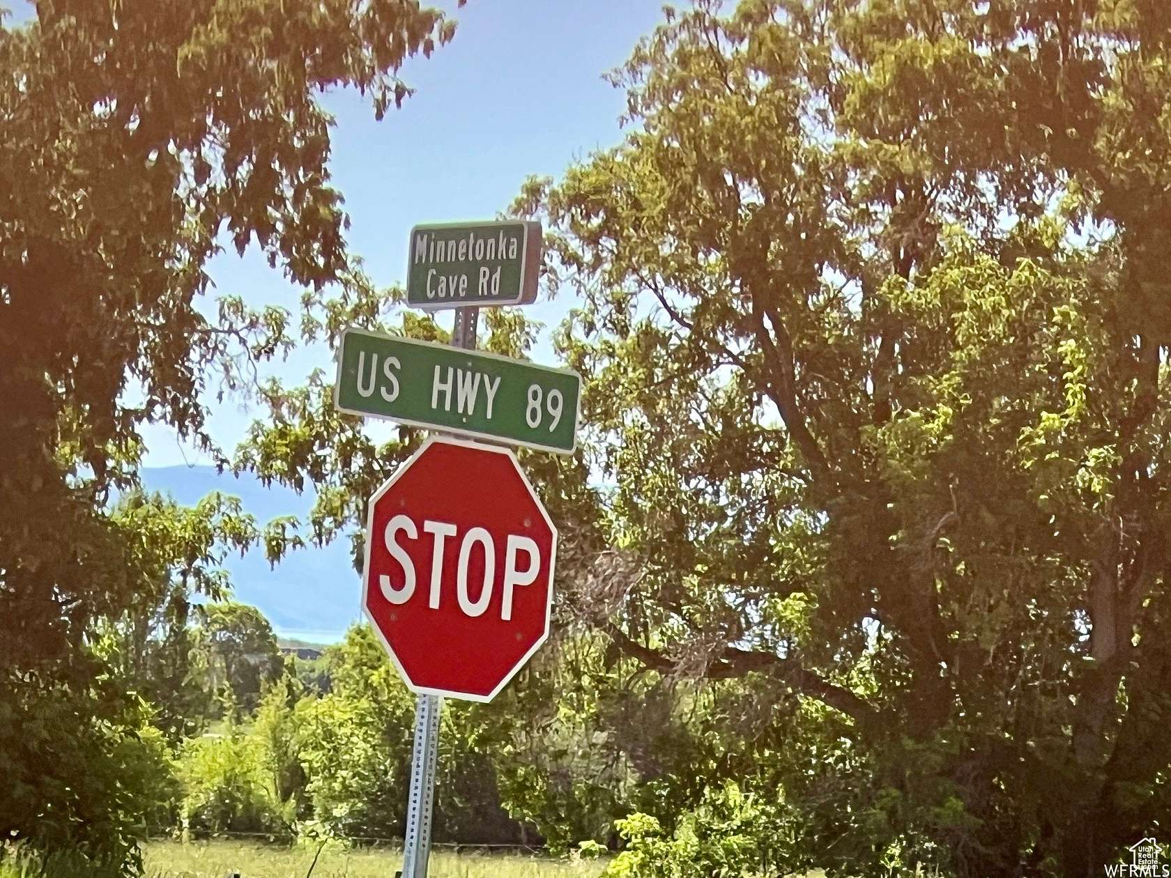 3.54 Acres of Land for Sale in St. Charles, Idaho