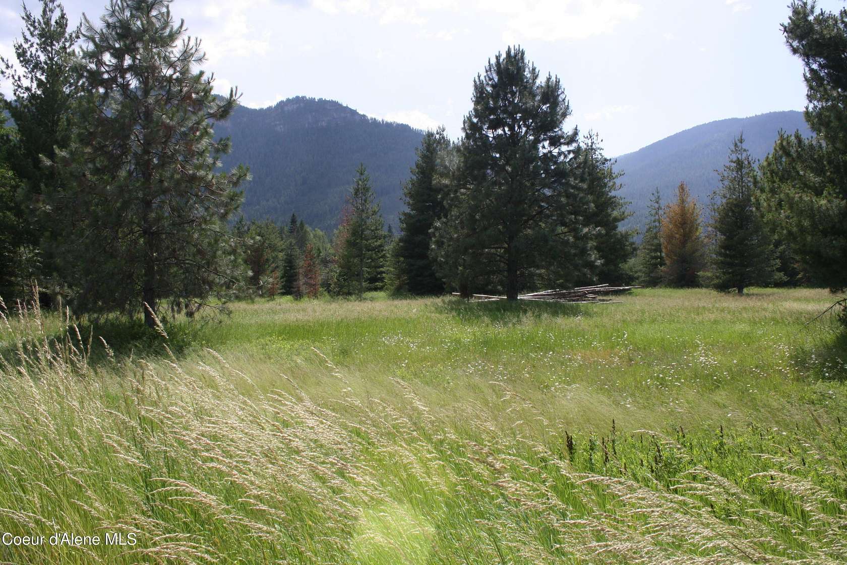 3 Acres of Land for Sale in Clark Fork, Idaho